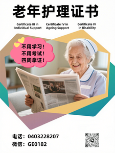 老年护理10 老年护理10
