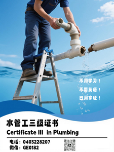 真人水管工证书1 真人水管工证书1