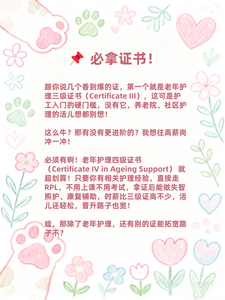 kbl图片牌照5