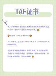 TAE证书2