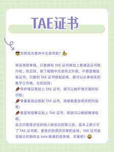 TAE证书3