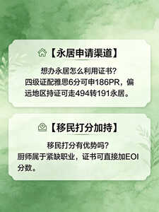 厨师13