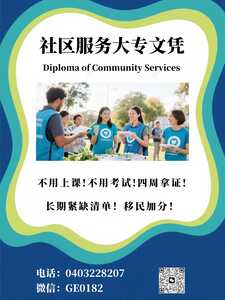 真人社工1