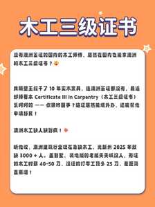 木工没签证2