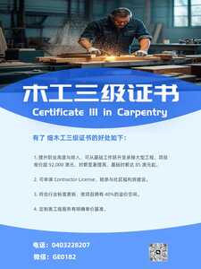 真人细木工1 真人细木工1
