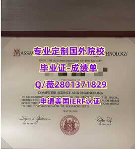 181麻省理工