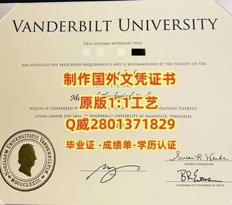 196范德堡大学