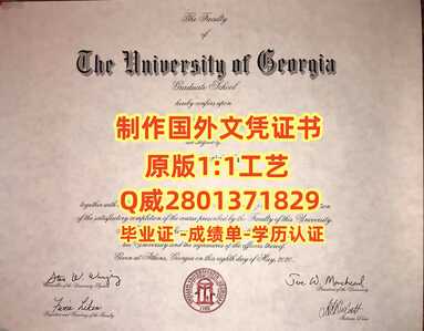 210佐治亚大学