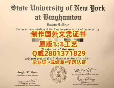 214宾汉姆顿大学