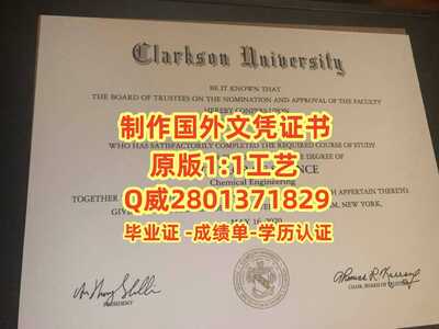 220克拉克森大学
