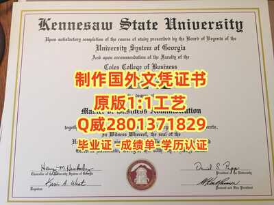 224肯尼索州立大学