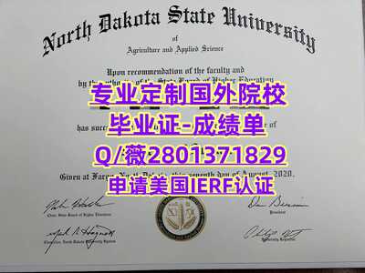 229北达科他州立大学