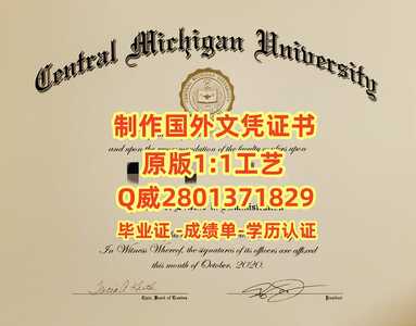 234中央密西根大学