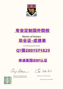 239政经学院