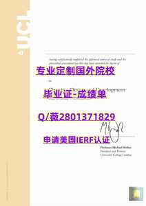 241.伦敦大学学院