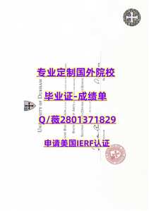243杜伦大学