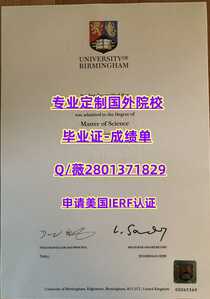 251伯明翰大学