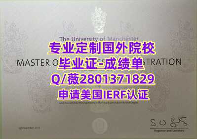 253曼彻斯特大学