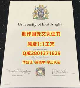 255东英吉利亚大学