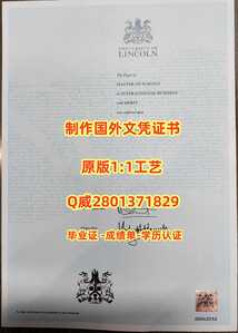 266林肯大学