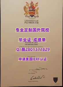 285普利茅斯大学