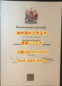 292伯恩茅斯大学