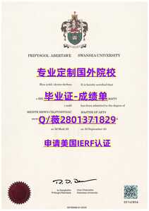 293斯旺西大学