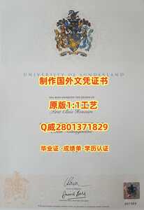 294桑德兰大学