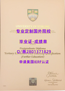 295斯特灵大学