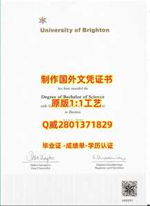 303布莱顿大学