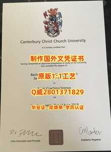 308坎特伯雷大学