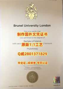 310布鲁内尔大学