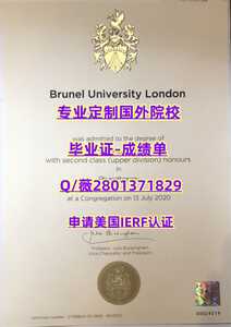 310布鲁内尔大学