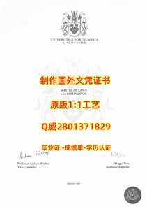 311诺桑比亚大学