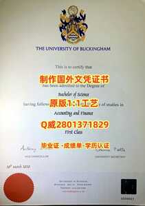313.白金汉大学