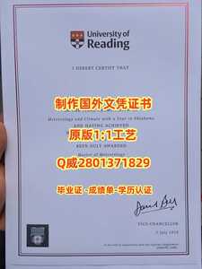 314.雷丁大学