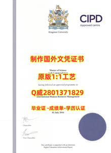 319.金斯顿大学