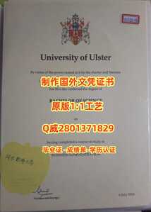 324.阿尔斯特大学