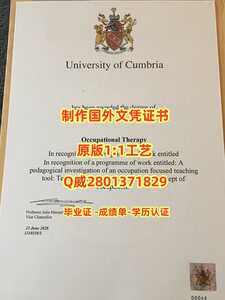 325.哥比亚大学