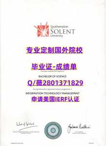 341.南安普敦索伦特大学