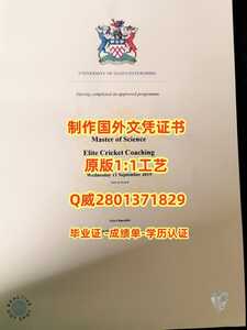 342.格鲁斯特大学