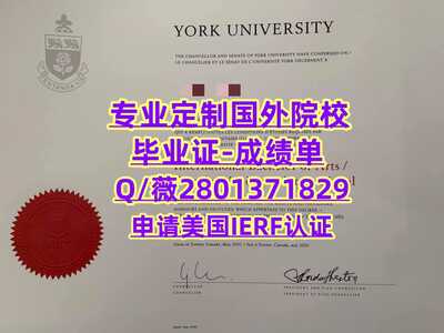 349约克大学