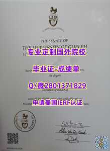 353圭尔夫大学