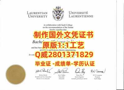 358劳伦森大学