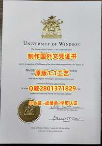 359温莎大学