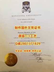 366尼皮辛大学