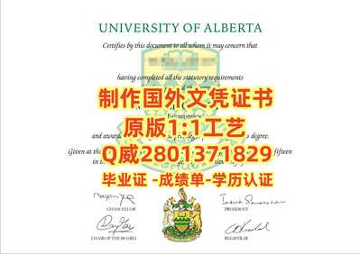 381阿尔伯塔大学