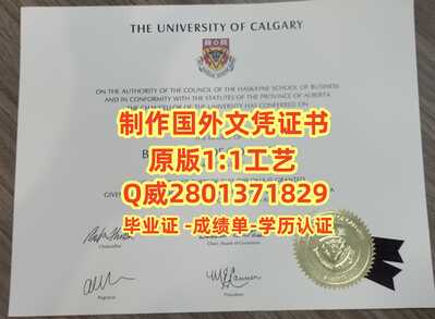 382卡尔加里大学