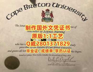 390卡普顿大学