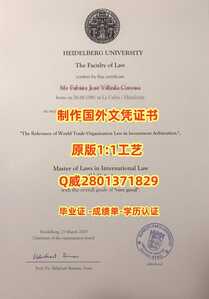 420海德堡大学